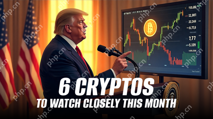 加密货币的世界着火了，每天都有新项目，开创性的技术和新的发展。